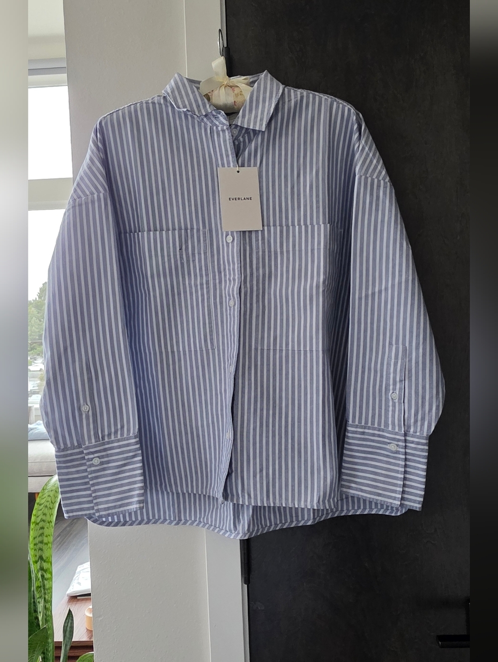NWT Everlane Blue & White Striped Boxy Oxford Size Medium